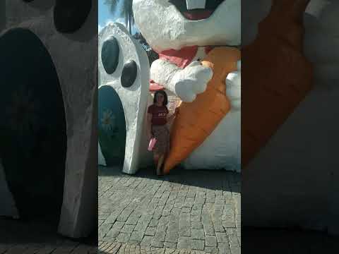 venha conhecer Nova Trento SC