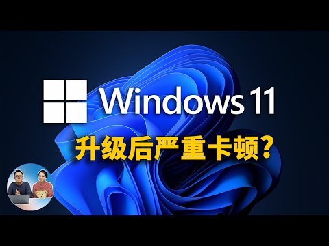Windows11 升级后严重卡顿？到底是谁的错？如何退回到Win10系统 | 零度解说
