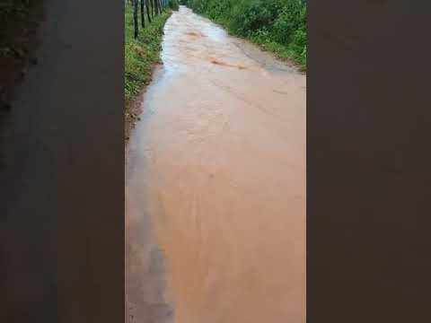 Depois da chuva: Pindaí - Bahia