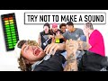 Try Not To Make Sound Challenge (SILENT LIBRARY)