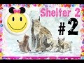Shelter 2 Прохождение #2|Охота на зайцев | Gameplay Мысля Геймится ...