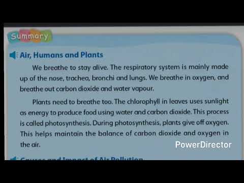 4.2.2.4 空氣與生命 English