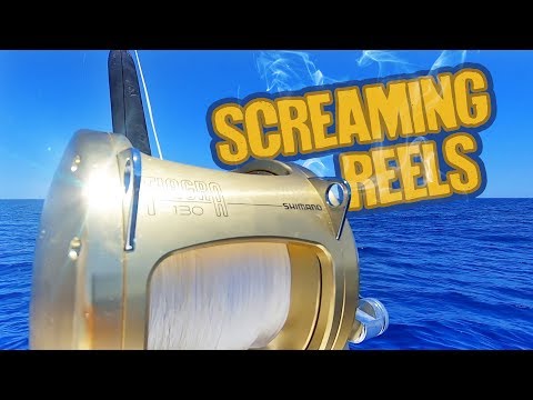 Fishing in Mallorca - Screaming reels vs. bluefin tuna