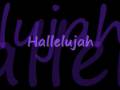 Rufus Wainwright- Hallelujah (Lyrics) 