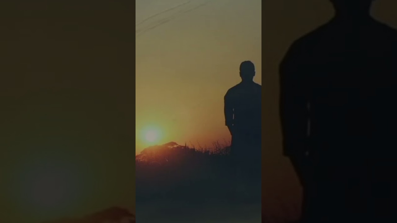 TRECHO DO LIVRO MEU PÉ DE LARANJA LIMA