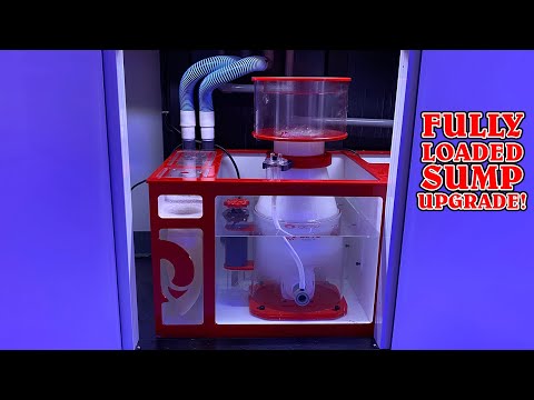 Reef Octopus 36" Sump Upgrade on the Saltwater Fish Tank