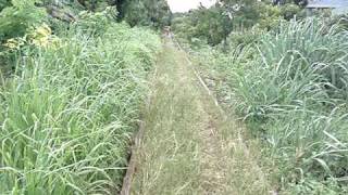 preview picture of video 'Trolley Rail Trip through Meadows'