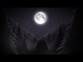 Video 1: Trailer