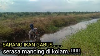 Download lagu Big zais gabus rawa mp3 Download lagu Big zais gabus rawa mp3