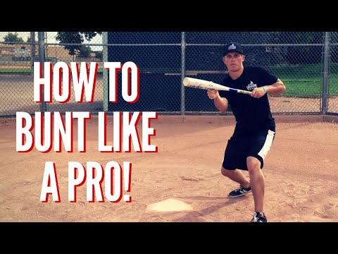 Bunting Fundamentals