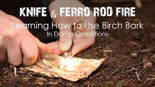 Starting A Fire With Knife, Ferro Rod & Birch Bark In Damp Conditions | Bushcraft & Survival Skills!