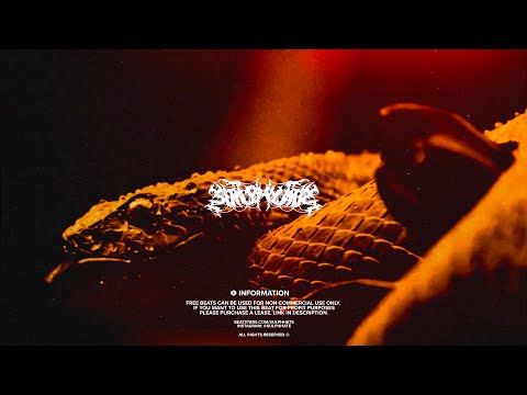 [SOLD] CITY MORGUE x SCARLXRD TYPE BEAT "DESCENT" | TRAP METAL TYPE BEAT