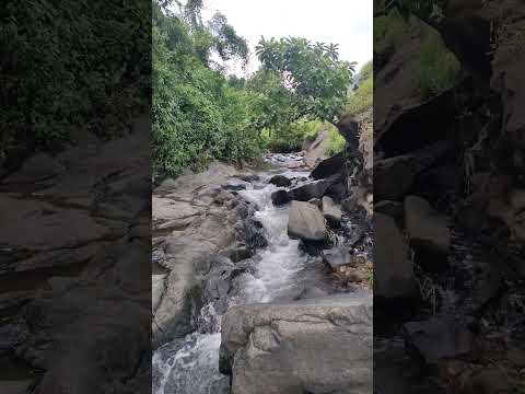 #viralreels #gufran #amazing #waterfall #whatsappstatus #whatsapp #veiw #2025 #viralshort 🍀😲