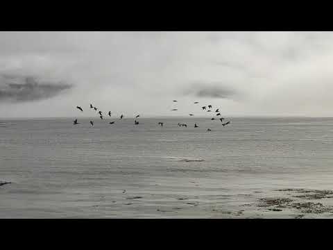Golf course at...Pebble Beach Resorts, 17 Mile Drive, Del Monte, CA, USA