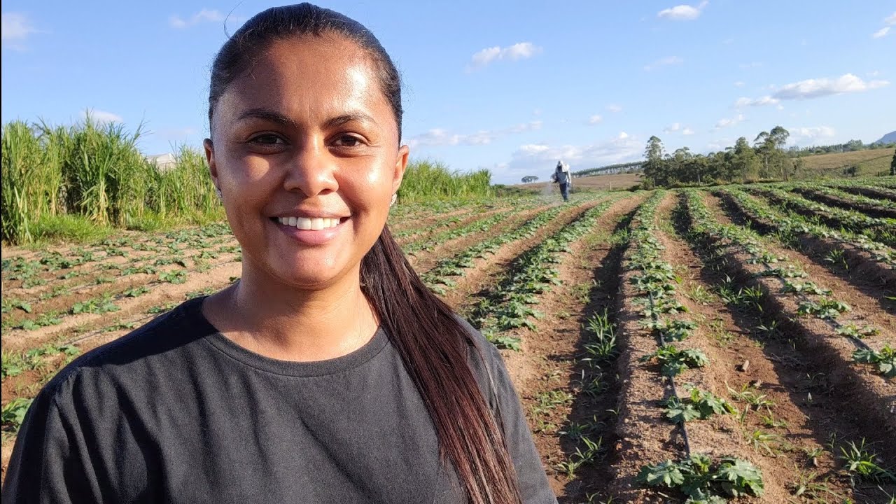 CADA DIA QUE PASSA O SÍTIO ESTÁ FICANDO MAIS PRODUTIVO 🙏