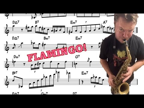 Baptiste Herbin on Flamingo - Eb Transcription