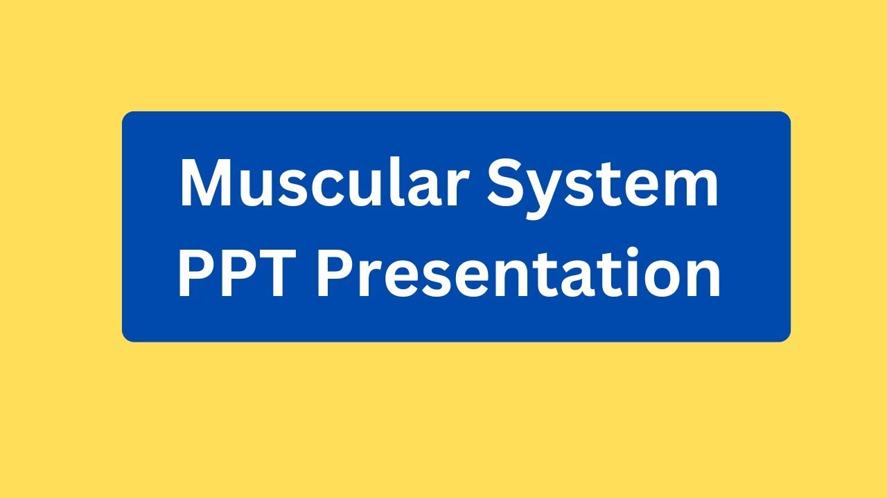 Muscular System PPT Presentation Seminar Download: Definition, Functions, Facts