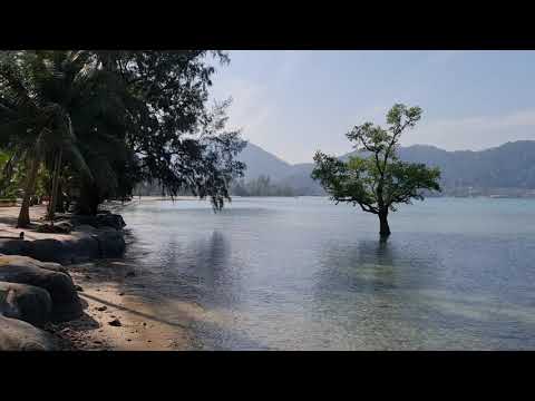 Working Lifestyle Thailand Vs. UK