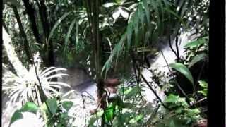 preview picture of video 'Cascada del rio Churimo El Bizcocho   San Rafael   Antioquia'