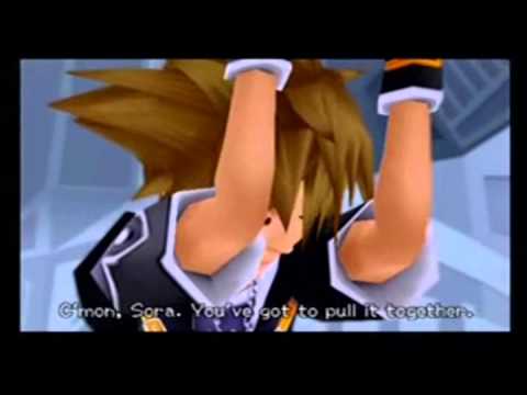 Kingdom Hearts Crazy Gayness (Viewer Discretion Advised)