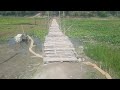 So Nice Village Bosonto Shimul Flower In Bangladesh 2023