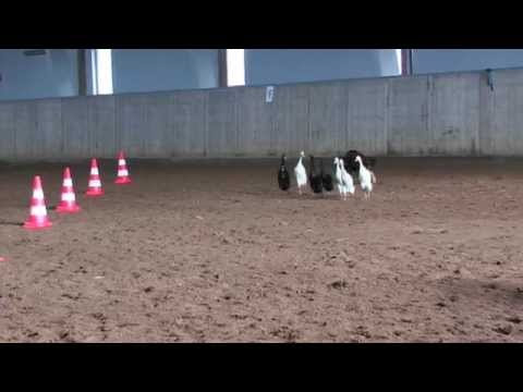 Kersten Marina & Ash