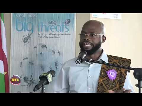 Description or Alt Text