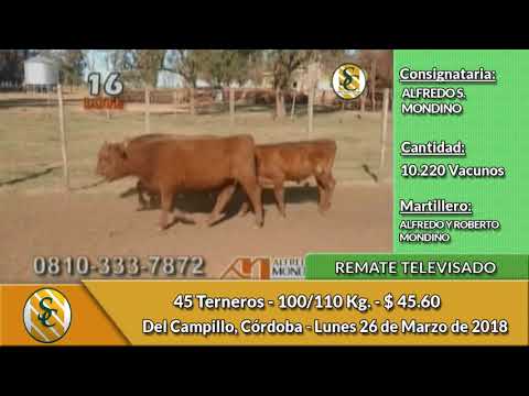 26-3-18 - Remate Televisado de Alfredo S. Mondino - Del Campillo