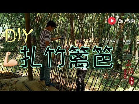 竹子裝飾
