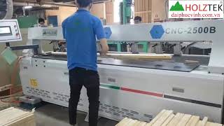 Holztek. MÁY KHOANG NGANG CNC ĐỊNH VỊ LỖ BẰNG HỒNG NGOẠI giá tốt nhất Tp HCM
