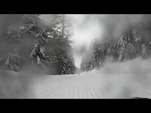 Multiair team sledding Schladming