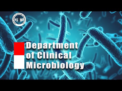 The Department of Clinical Microbiology.