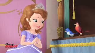 Sofia The First | Blue Ribbon Bunny | Song | HD | @disneyjr