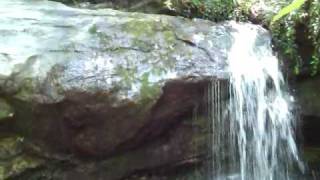 Summer Camp - Original Song