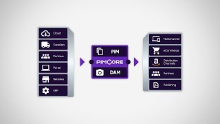 Pimcore video