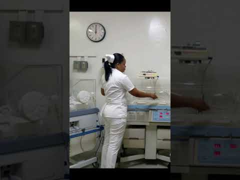 Historia de vida de Colaborador