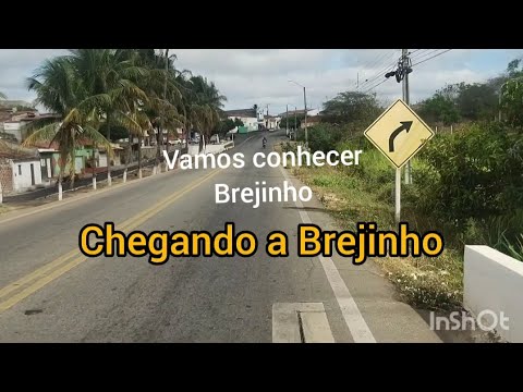 Do hambo a Brejinho Pernambuco