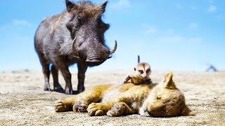 THE LION KING \