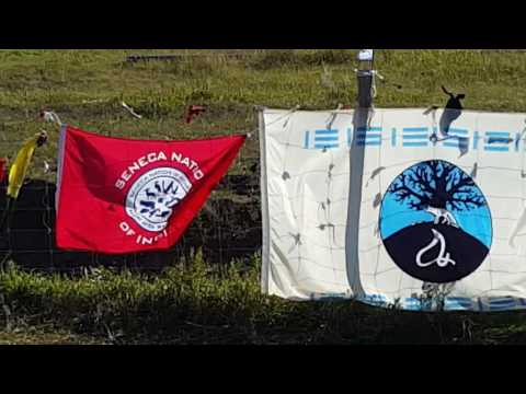 Standing Rock flags