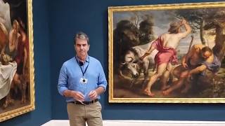 Directo | La emoción en la mirada de una vaca pintada por Rubens