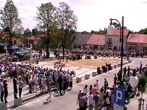 1. Małogoszcz. Rekonstrukcja Bitwy Pod Małogoszczem. 24.02.1863. cz1.