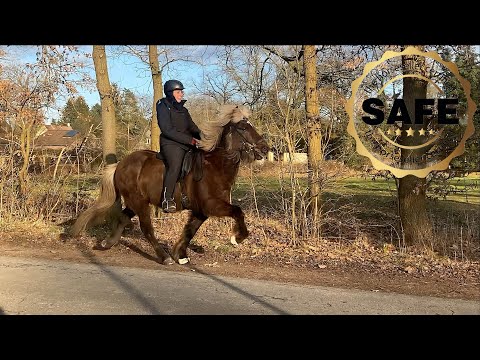 SOLD- Safir – Der windfarbene Fünfgang-Traum mit Coolness & Charme