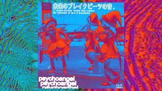 Download lagu psychoangel - sounds of future breakbeat [FULL ALBUM] mp3