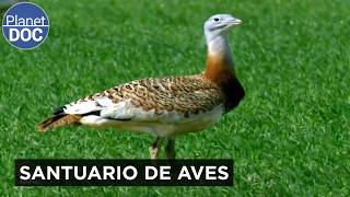 Thumbnail del capítulo
