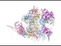 Newswise: Scientists Propose