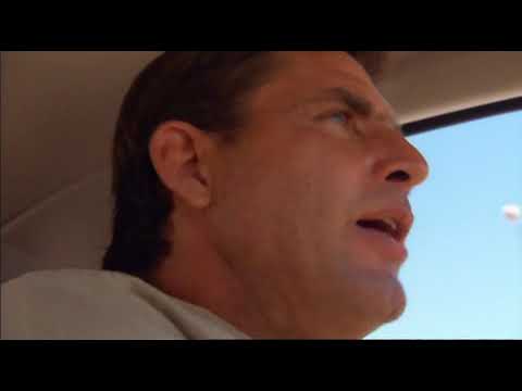 Attack of the Killer Bees (Documentary) ♦NatGeo♦