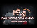 Pyar Hamara Amar Rahega - Muddat (1986) slowed+reverb | Asha Bhosle, Mohd Aziz / Ranjit lofi song