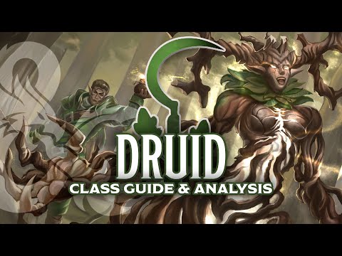 Druid Class Guide | Dungeons & Dragons 5e