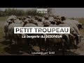 Petit Troupeau La Bergerie Du SEIGNEUR 17 06 24