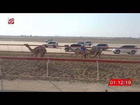  ش 24 (شغموم) لـ محسن حسين بن صالح الهمامي 2:11:34  ، شارة الصندوق 2026/08/21 فطامين الوثبة